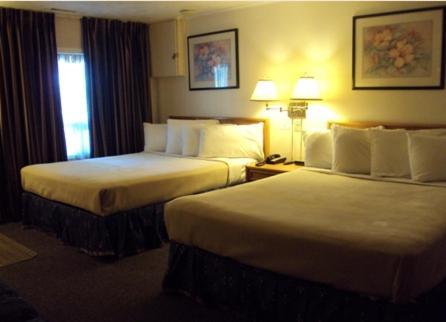 Twin Peaks Motel Napanee Esterno foto